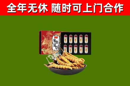 长治市回收冬虫夏草价格